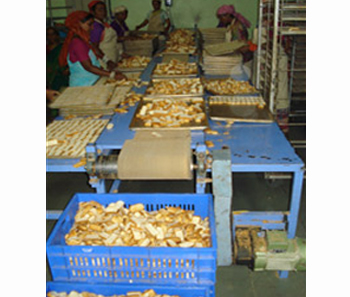 Bakery Products handling systems